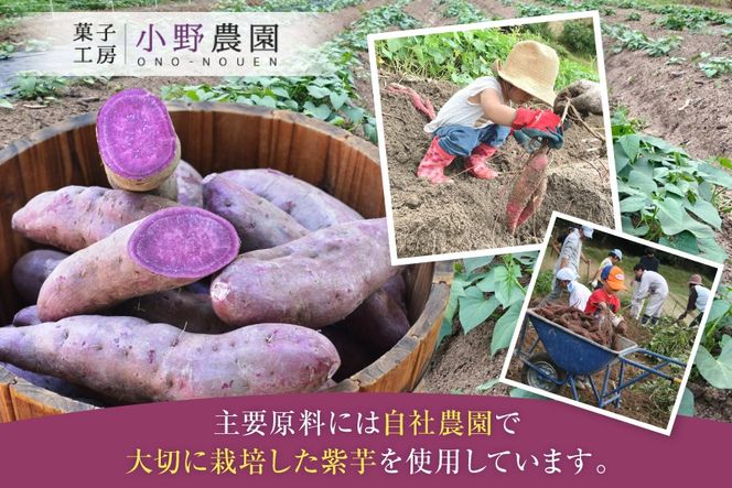 お菓子 筑紫野 初月12個入 [菓子工房 小野農園 福岡県 筑紫野市 21760730] 和菓子 個包装 芋菓子 いも菓子 おやつ スイーツ 紫芋 芋 お芋 むらさきいも