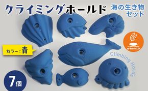 クライミングホールド・海の生き物セット クライミング 遊び 子供 トレーニング リサイクル素材 耐久 環境保護