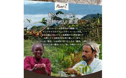 メール便発送【訳あり】深煎り富士山の湧き水で磨いた スペシャルティコーヒーセット 豆 160g　コーヒー 珈琲 豆 コーヒー豆 ブレンドコーヒー スペシャルティコーヒー 深煎り ブレンド 山梨 富士吉田