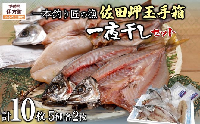 【一本釣り 匠の漁】佐田岬 玉手箱セット 5種×各2枚（計10枚） IKTJ006