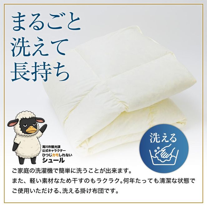 羽毛布団 掛け布団 オールシーズン 洗える ダウン200g増量【キング】綿100% 抗菌防臭 完全国内生産 北海道滝川市