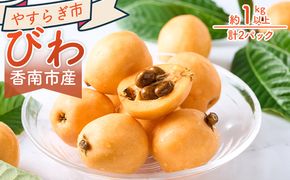 びわ ２パック 約1kｇ以上 （1パックあたり10～15個入） 香南市産 - 国産 香南市産 フルーツ 果物 果実 青果 ビワ 枇杷 山の幸 山の恵み 甘い やすらぎ市 高知県 香南市 yr-0115
