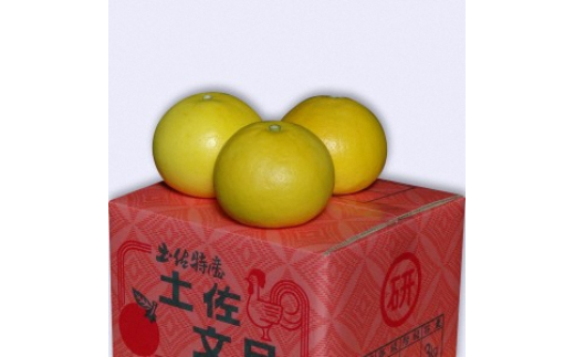 【先行予約】三愛果樹園の土佐文旦　贈答用　約3kg / 土佐文旦 みかん 柑橘 ぶんたん ブンタン 果物 フルーツ 〈2027年2月上旬から順次発送〉【三愛果樹園】