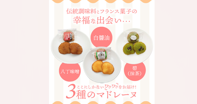 三河物語 三英傑セット～碧南が発祥の白醬油、三英傑が愛した西尾の抹茶、徳川家康お膝元の八丁味噌を使ったマドレーヌの味くらべセット～18個入り H043-011