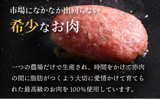 定期便も選べる！ 登別牛100％使用ハンバーグ 120g×5個（単品／定期便）