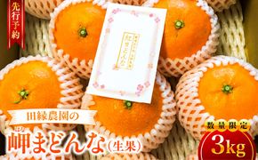 【先行予約】【数量限定】田縁農園の岬（はな）まどんな（生果）3kg （2026年11月25日より順次発送） IKTA003