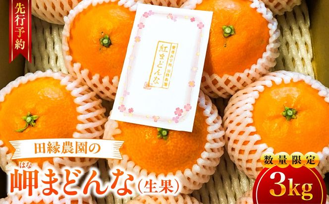 【先行予約】【数量限定】田縁農園の岬（はな）まどんな（生果）3kg （2026年11月25日より順次発送） IKTA003