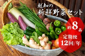 越知産市の季節の野菜セット(年12回発送)