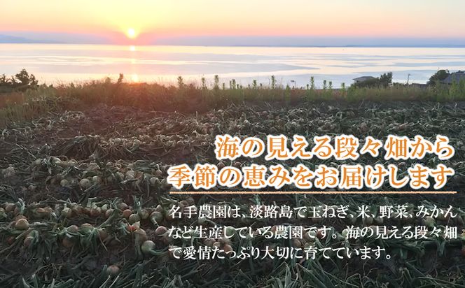 【新たまねぎ】名手農園の淡路島特産玉ねぎ 5kg【発送時期：2026年3月～5月頃】　[たまねぎ 玉ねぎ]