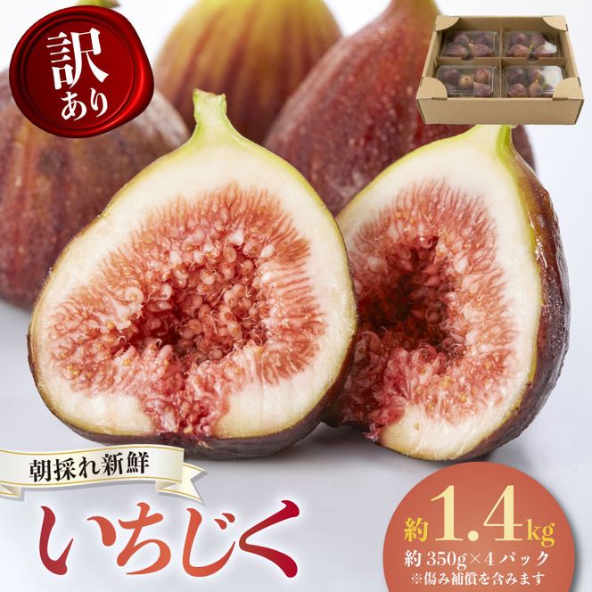【先行予約】【2026年8月中旬～出荷】訳ありいちじく 約350g×4パック 計約1.4kg 冷蔵 果物 【配送不可地域：北海道 東北 九州 沖縄 離島】