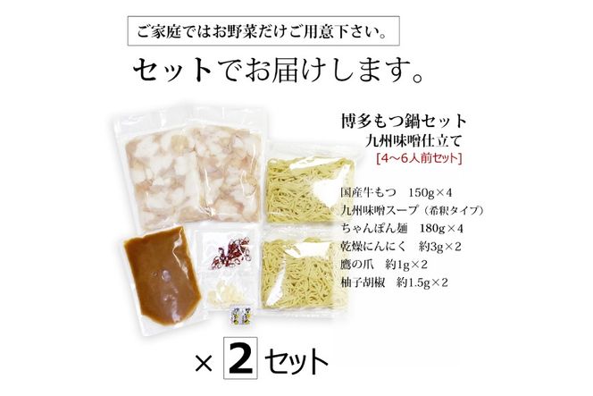 博多もつ鍋 セット (九州味噌仕立て) 4～6人前 [ベネフィス 福岡県 筑紫野市 21761393] 鍋 もつ鍋 モツ鍋 もつ モツ 味噌 みそ 博多 福岡 国産 国産牛 本場 ホルモン 冷凍