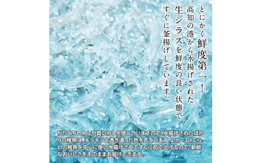 t198mmk　〈6ヶ月定期便〉訳あり 釜揚げシラス 400g×2個 定期便 定期コース 6ヶ月 しらす シラス 釜揚げ 新鮮 塩分控えめ 離乳食 わけあり ワケあり 不揃い しらす丼 海鮮丼 お茶漬け
