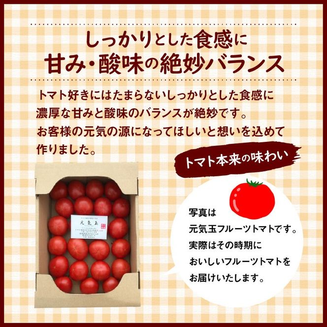 【先行受付】12月～6月毎月発送　プレミアムフルーツトマトの定期便　7回コース 【ソムリエサミット 金賞 受賞】 長田農園 元気玉フルーツトマト 産地直送 トマト とまと 野菜 やさい フルーツ サラダ 濃厚 甘い ご褒美 プレゼント 美容 健康 リピート多数 人気 高評価 数量限定 碧南市 H004-193