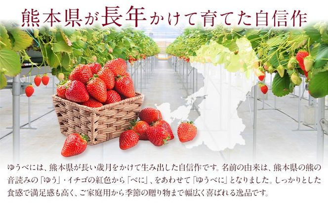 ゆうべに 約1kg 250g×4パック エフビーネット 道の駅竜北《2027年1月上旬-4月中旬頃出荷》熊本県 氷川町 苺 フルーツ 国産 果物 熊本県産 冷蔵 小分け 旬 いちご---hkw_efb_3_1kg---