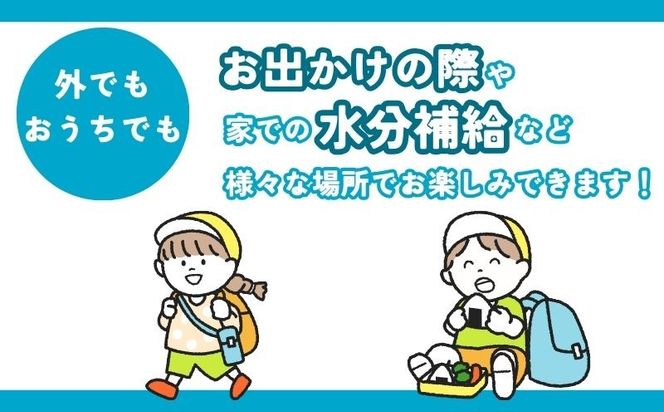 【山梨　道志村の天然水】　doshiwater(10ℓ×2箱×2セット)【12回定期】｜水　災害備蓄用　防災用　非常時保存用JY006