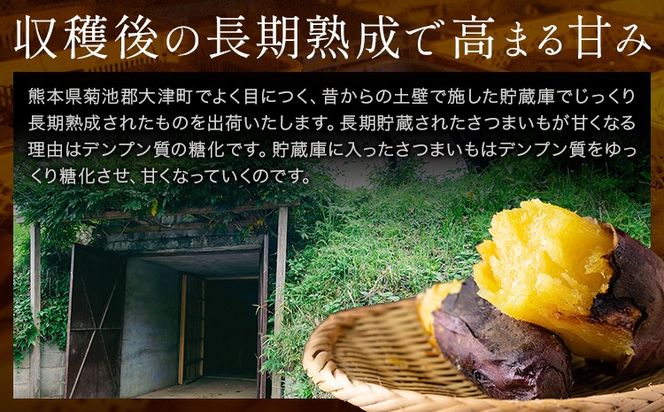 熊本県大津町産 中無田農園の紅はるか 約5kg (大中小サイズ不揃い) 熊本県大津町 《12月上旬-1月中旬頃出荷予定》 さつまいも 芋 スイートポテト 干し芋にも 名産地 特産品 秋 旬---fn_nkmtben_ae121_8000_5kg--