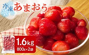 急速冷凍！人気のあまおう 冷凍いちご　福岡県特産品　大容量 1.6kg【JAほたるの里】_HA1513