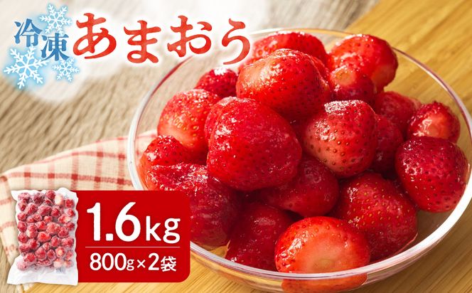 急速冷凍！人気のあまおう 冷凍いちご　福岡県特産品　大容量 1.6kg【JAほたるの里】_HA1513