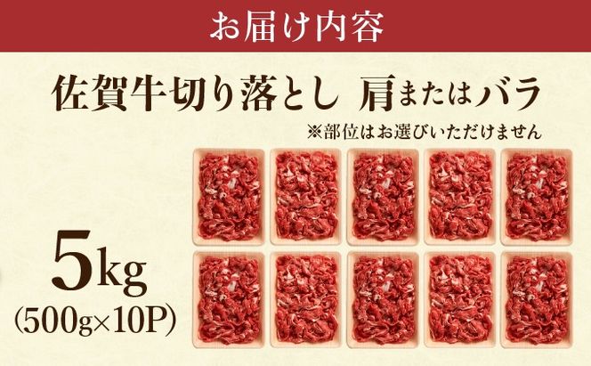艶さし！【A4~A5】佐賀牛切り落とし 5kg (500g×10P)