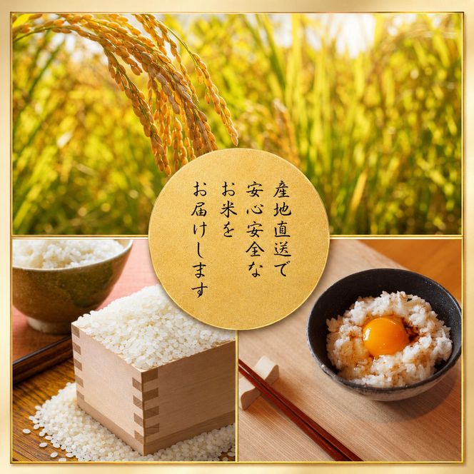 令和8年産 京都丹波産 コシヒカリ 10kg 京都 丹波 お米 米 産地直送 令和8年 10キロ 新米 新米26