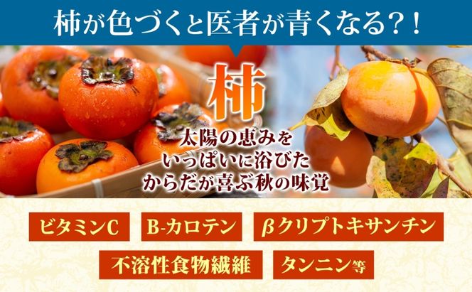 富有柿 12個 柿 かき 大玉 完熟 フルーツ くだもの 果物 秋 旬 味覚 追熟 甘い おやつ デザート 贈り物 ギフト 産地直送 にわか茶屋 送料無料 岐阜県 美濃市 ≪お届け時期：2026/11/1～2026/12/31≫