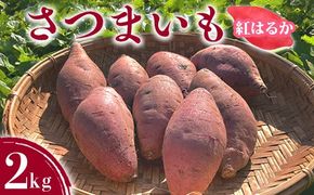 さつまいも2kg ｜ サツマイモ 紅はるか かんしょ 美浜町産 知多半島産 愛知県産 国産 期間限定　※北海道・沖縄・離島への配送不可
