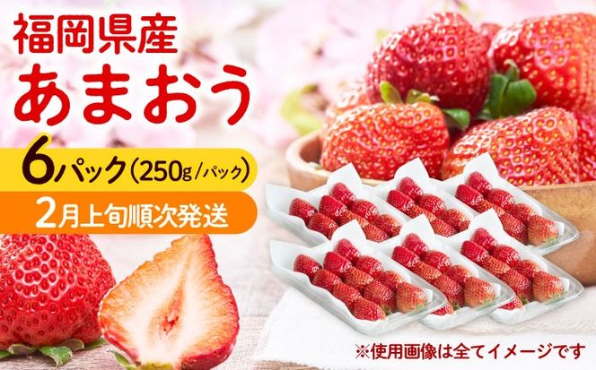 【2026年2月上旬より順次発送】福岡産【春】 あまおう 6パック 《築上町》【南国フルーツ株式会社】果物 苺 いちご[ABET012]