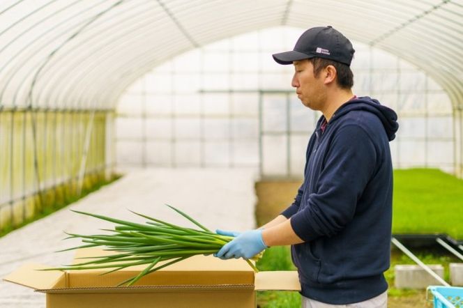 生産農家直送 京野菜・九条ねぎ700g〈ねぎ ネギ 葱 九条ねぎ 京野菜 京都 新鮮 甘い 農家直送 野菜〉 京都府産 薬味 料理 食材 