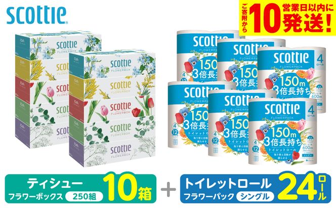 【スコッティ】 組み合わせ ティシュー フラワーボックス 250組 10箱 トイレットロール シングル フラワーパック 3倍長持ち 24ロール ティッシュ トイレットペーパー 日用品 防災備蓄 ストック 備蓄 新生活 防災 消耗品 生活用品 日用消耗品 箱ティッシュ