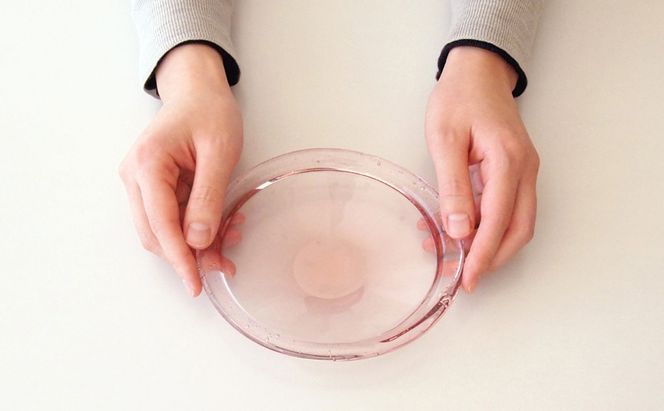 ぺタロス　プレートS 2枚（クリアー×2） 