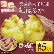 【先行予約】【10月中旬より順次発送予定】熟成さつまいも 紅はるか 5kg｜茨城県 大子町 サツマイモ べにはるか 芋 甘い ホクホク 野菜 数量限定 5キロ 旬（CH001）