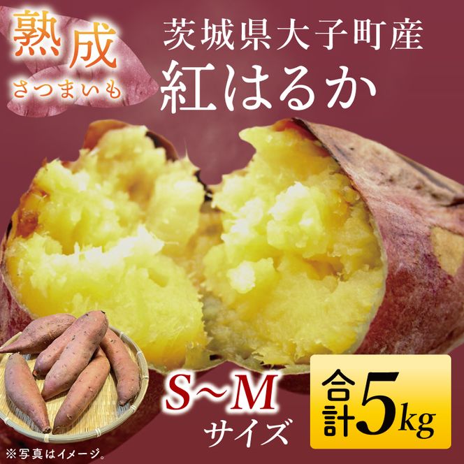 【先行予約】【10月中旬より順次発送予定】熟成さつまいも 紅はるか 5kg｜茨城県 大子町 サツマイモ べにはるか 芋 甘い ホクホク 野菜 数量限定 5キロ 旬（CH001）