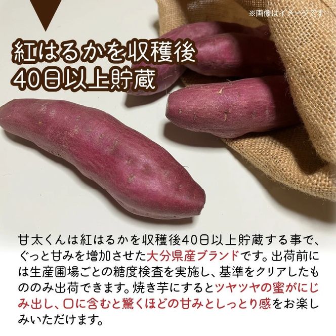 【先行予約】さつまいも 甘太くん 5kg 大分県産 M～2L _2291R