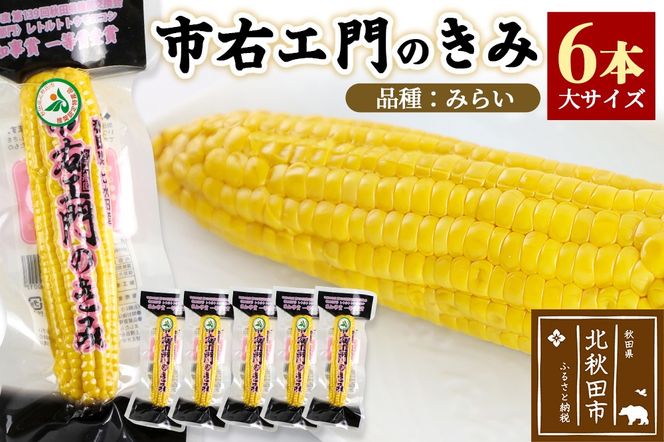 とうもろこし（レトルト真空パック）「市右エ門のきみ」みらい 6本セット（大きいサイズ）|ymdf-00011