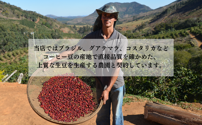 ブラジル珈琲鑑定士おすすめ！ 自家焙煎珈琲 極上 スペシャルティセット ギフト 贈り物 プレゼント 人気 厳選 コーヒー 袋井市 コーヒー豆 珈琲豆 詰め合わせ 