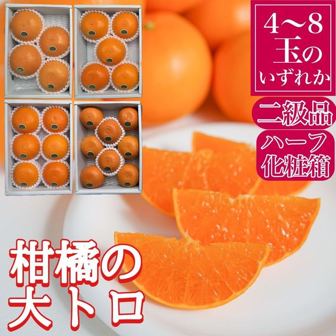 定期便 春に楽しむ ハウス せとか ＆ 木成 完熟 有田 はっさく 傷あり 二級品 小箱セット 全2回 南泰園 BS218