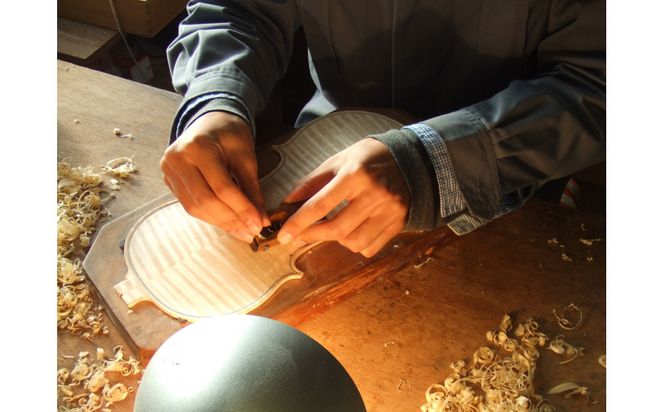 【SUZUKIオリジナル ビオラケース 三角型】 232238_AD81