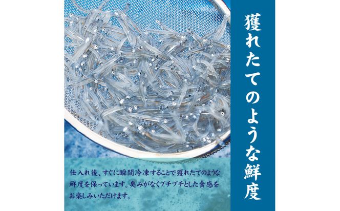 湘南しらす　3色セット 142069_DV013