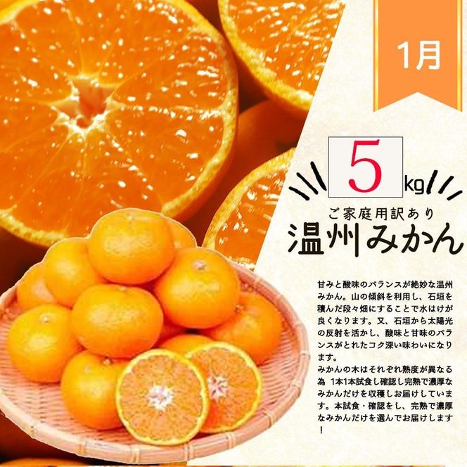 【1・2・3・4月 全4回 定期便】紀州和歌山産旬のご家庭用柑橘セット(みかん・不知火・せとか・清見) AN062