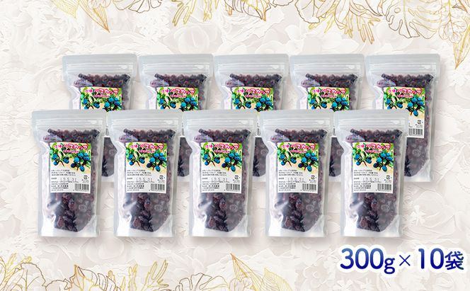 ◆ふらのジャム園◆ 冷凍 ハスカップ 10袋セット ( 果物 フルーツ 冷凍食品 新鮮 産地直送 北海道 道産 富良野 )