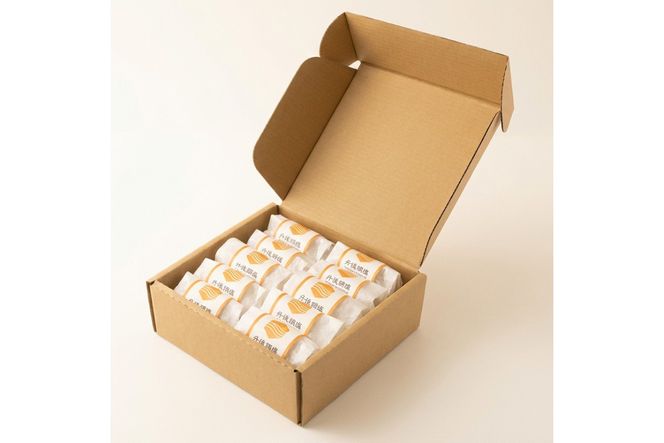 【ふるプレ限定品】【特別寄附額】丹後のコシヒカリと塩だけでつくる 塩むすび −40℃急速冷凍 レンジ3分　TU00008P