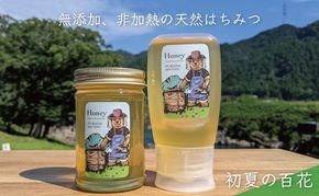 合計530g 天然蜂蜜 国産蜂蜜 非加熱 生はちみつ 岐阜県 美濃市産 初夏 (蜂蜜230g入りガラス瓶1本、蜂蜜300g入りピタッとボトル1本のセット)B13 深田養蜂のハチミツ