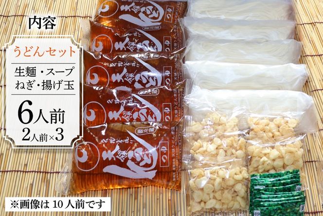 うどん 生麺 天領うどん つゆ ねぎ 揚げ玉 付き 6人前 セット [天領うどん本店 宮崎県 日向市 452061557] ウドン 釜揚げ 釜揚げうどん