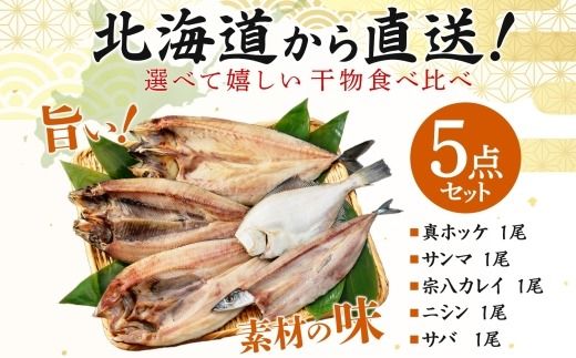 2522.  ふっくらやわらか 干物 5点セット 魚介 海鮮 真ホッケ サンマ カレイ ニシン サバ 秋刀魚 宗八鰈 鰊 鯖 送料無料 北海道 弟子屈町