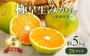 BF6035n_【2026年先行予約】 極早生みかん 5kg 赤秀 2Sサイズ【ミカン 蜜柑 柑橘 温州みかん 有田みかん 贈答 ギフト わせみかん 小粒 小玉 和歌山】