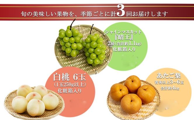 フルーツ 2026年 先行予約 晴れの国 岡山 の フルーツ 定期便 3回コース 桃 ぶどう 梨 岡山県産 国産 フルーツ 果物 ギフト 白桃 大玉梨 あたご梨 