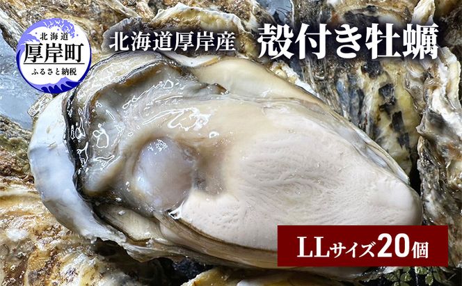 北海道 厚岸産 殻付き 牡蠣 LLサイズ　20個 魚貝類 生牡蠣 海鮮 海の幸 生食用牡蠣 生食用 生食用殻付き牡蠣 濃厚 甘み オイスター 