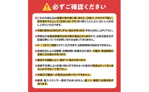 【先行受付：2026年11月下旬以降発送分】訳あり りんご（ふじ）3kg_Y010-0660