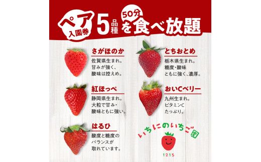 いちご狩り 5品種 食べ放題 50分 ペア 入園券 N085-YB356