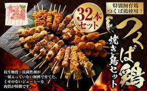 つくば鶏 焼き鳥セット 32本 焼き鳥 焼鳥 もも肉 ネギま ネギ間 鶏皮 つくね 串 串焼き 茨城県 守谷市